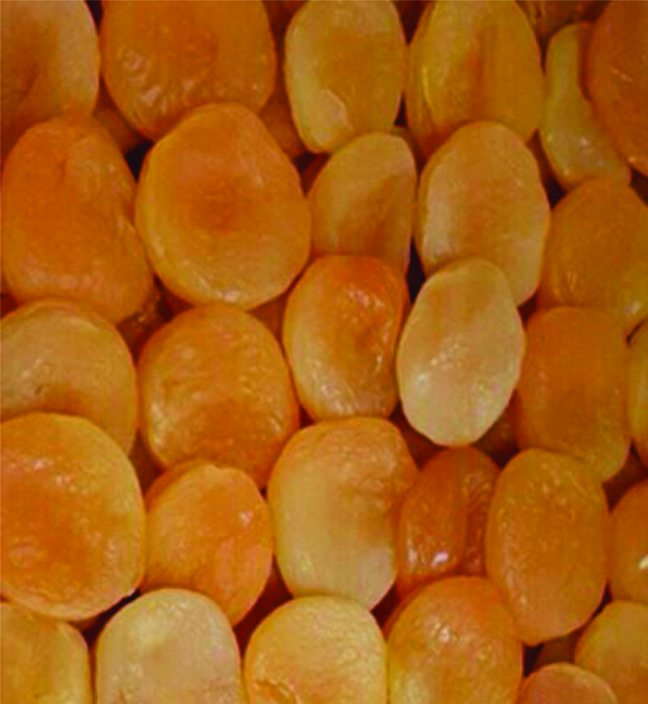 [Mơ vàng đẹp về] Mơ Sấy Dẻo Thổ Nhĩ Kỳ 500g