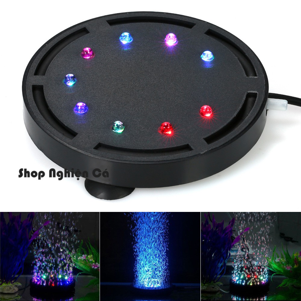 Sủi LED nhiều màu Sủi kết hợp đèn trang trí hồ cá