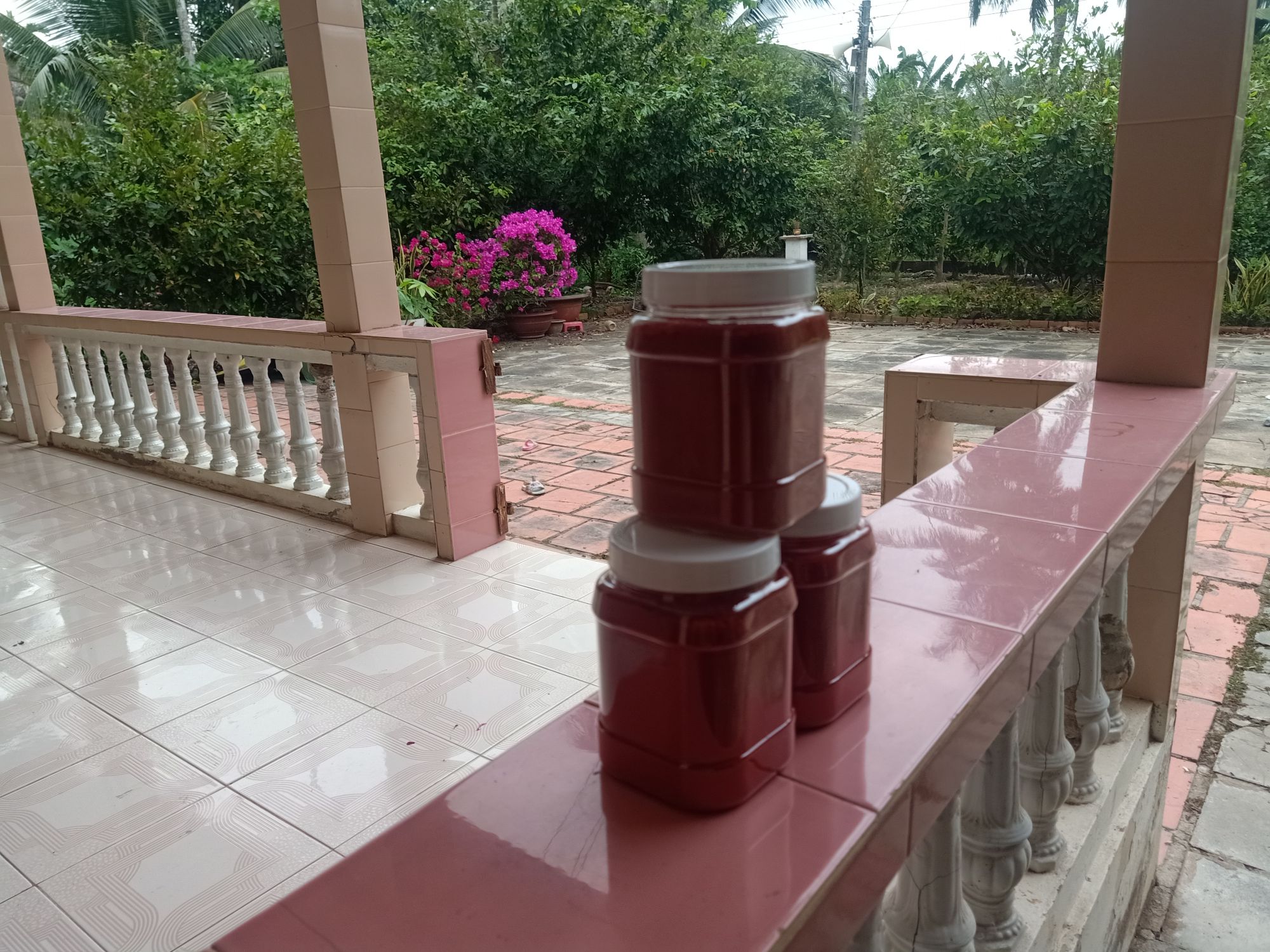 NGHỆ ĐỎ VÔ GÀ, KEO 0.5KG