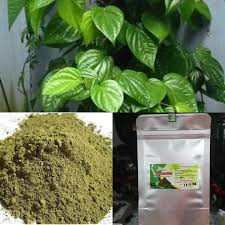 100g Bột Lá Trầu Không Xông Vùng Kín Hiệu Quả Bột lá trầu xông hơ vùng kín sau sinh