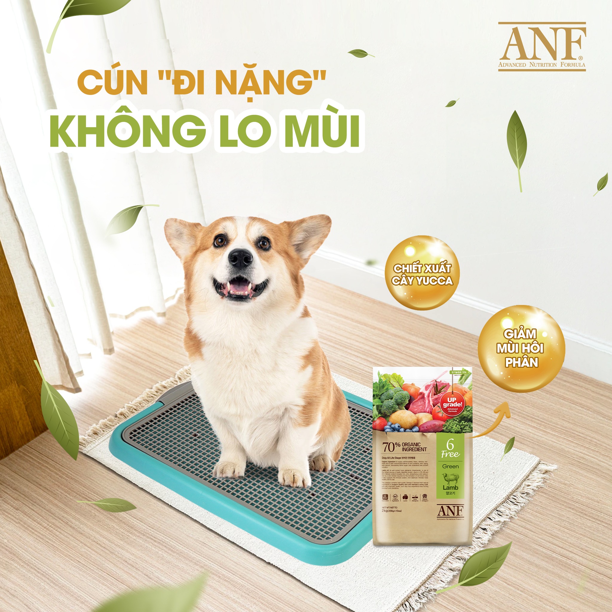 Thức ăn chó ANF 6 FREE + (BAO NGUYÊN SEAL 1,6kg) nhập khẩu chính hãng