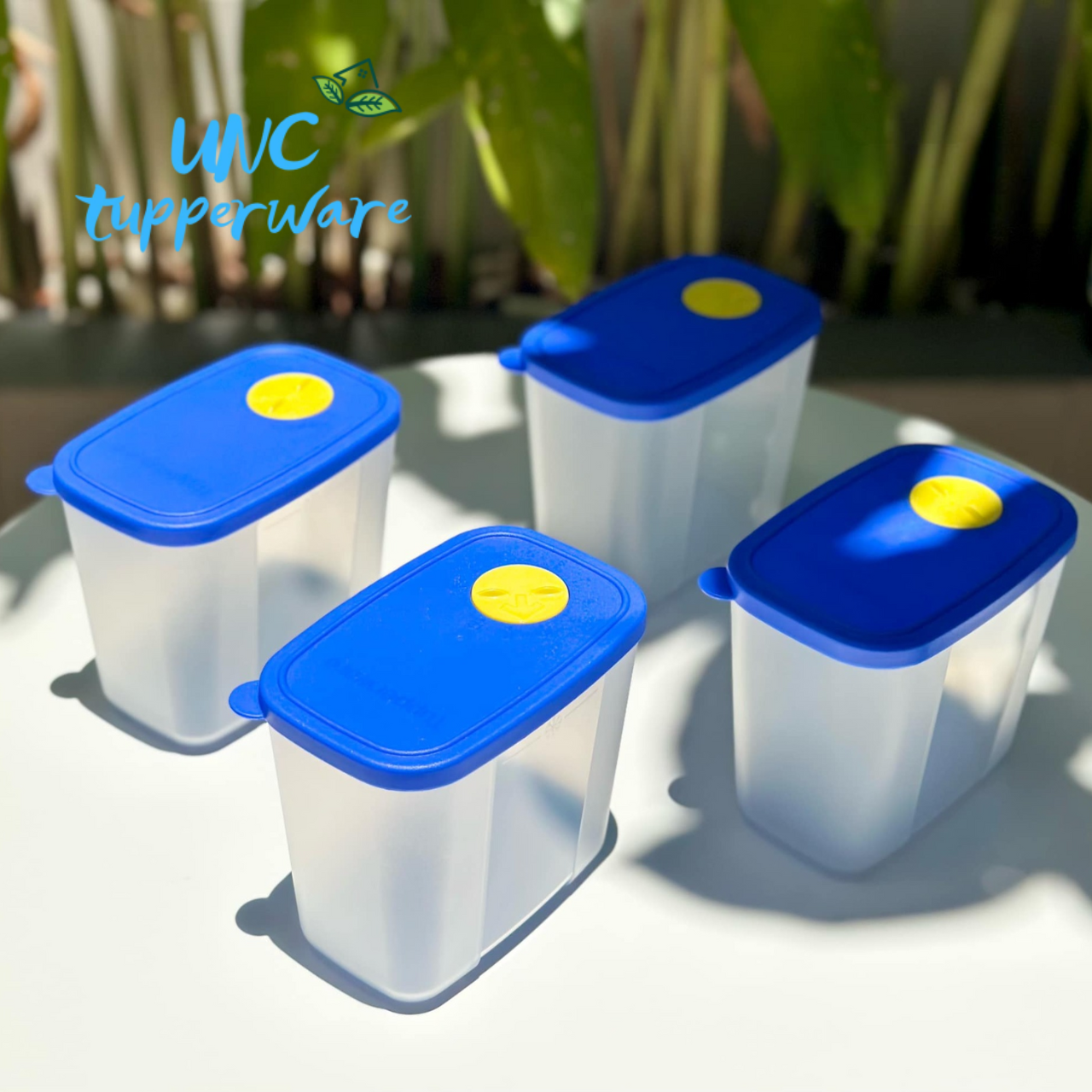 Bộ hộp trữ mát & trữ đông Tupperware Modern Set 16