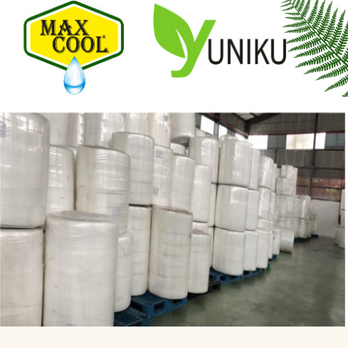 Khăn Ướt 100 Tờ MAX COOL Không Hương
