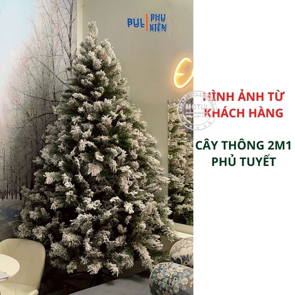 Cây thông noel 1M2 1M5 2M 3M PHỦ TUYẾT A4 tặng ngôi sao đỉnh và dây kim tuyến decor trang trí giáng sinh