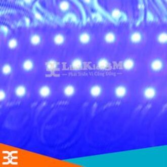Bộ 10 Thanh Led Hắt 12V Siêu Sáng ( Mỗi thanh 3 bóng )