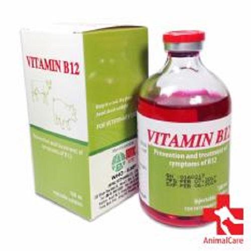 [HCM]Vitamin B12-Giải độc cho cây chai 100ml