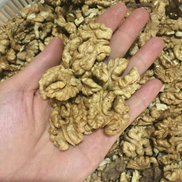 500g nhân óc chó