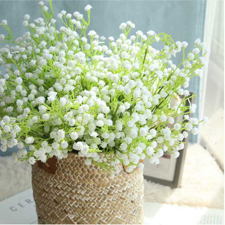 Hạt Giống Hoa Baby Trắng - Gói 50 hạt