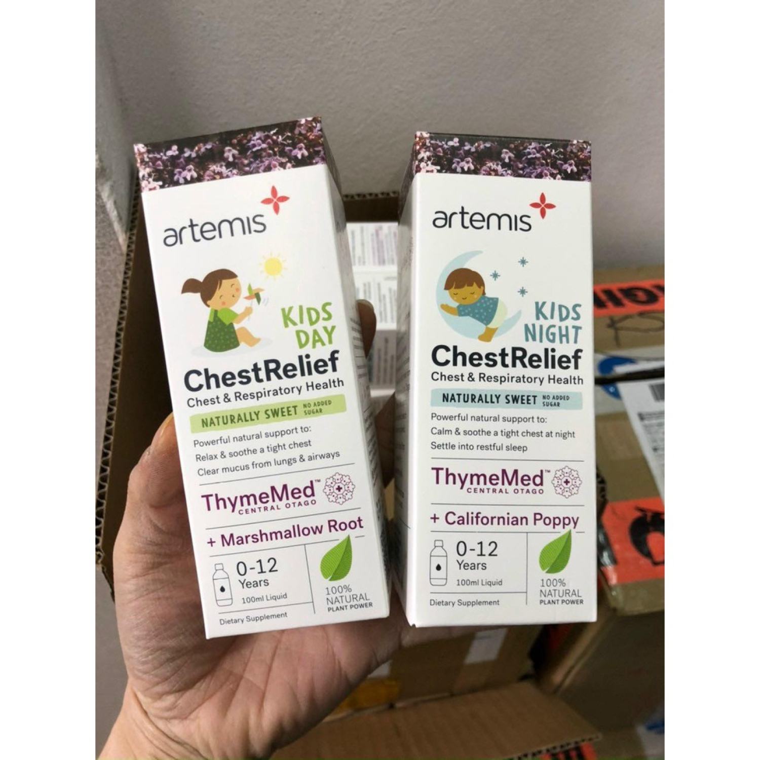 Siro ho đờm Artemis Chest Relief Day - Night