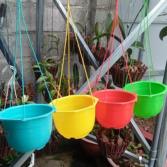 Chậu treo trồng hoa rau cây kiểng 21cm