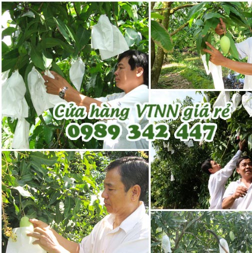 Combo 50 Túi Bọc Ổi Chất Lưọng Số 1, chất lượng số 1