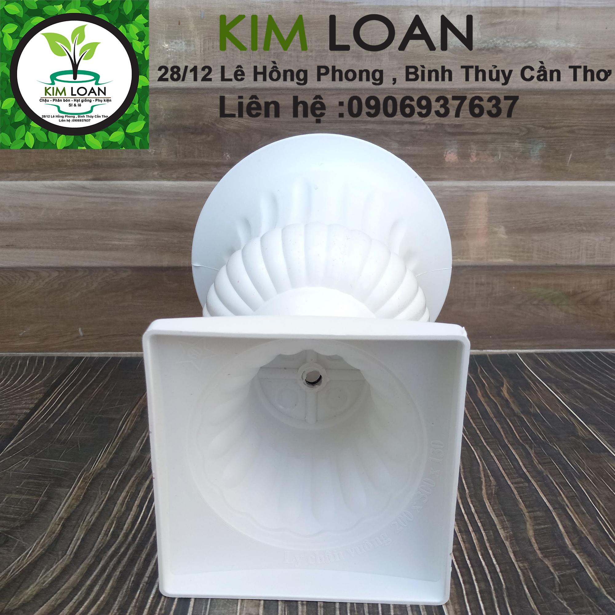 Chậu nhựa ly cúp đế vuông 20x30cm