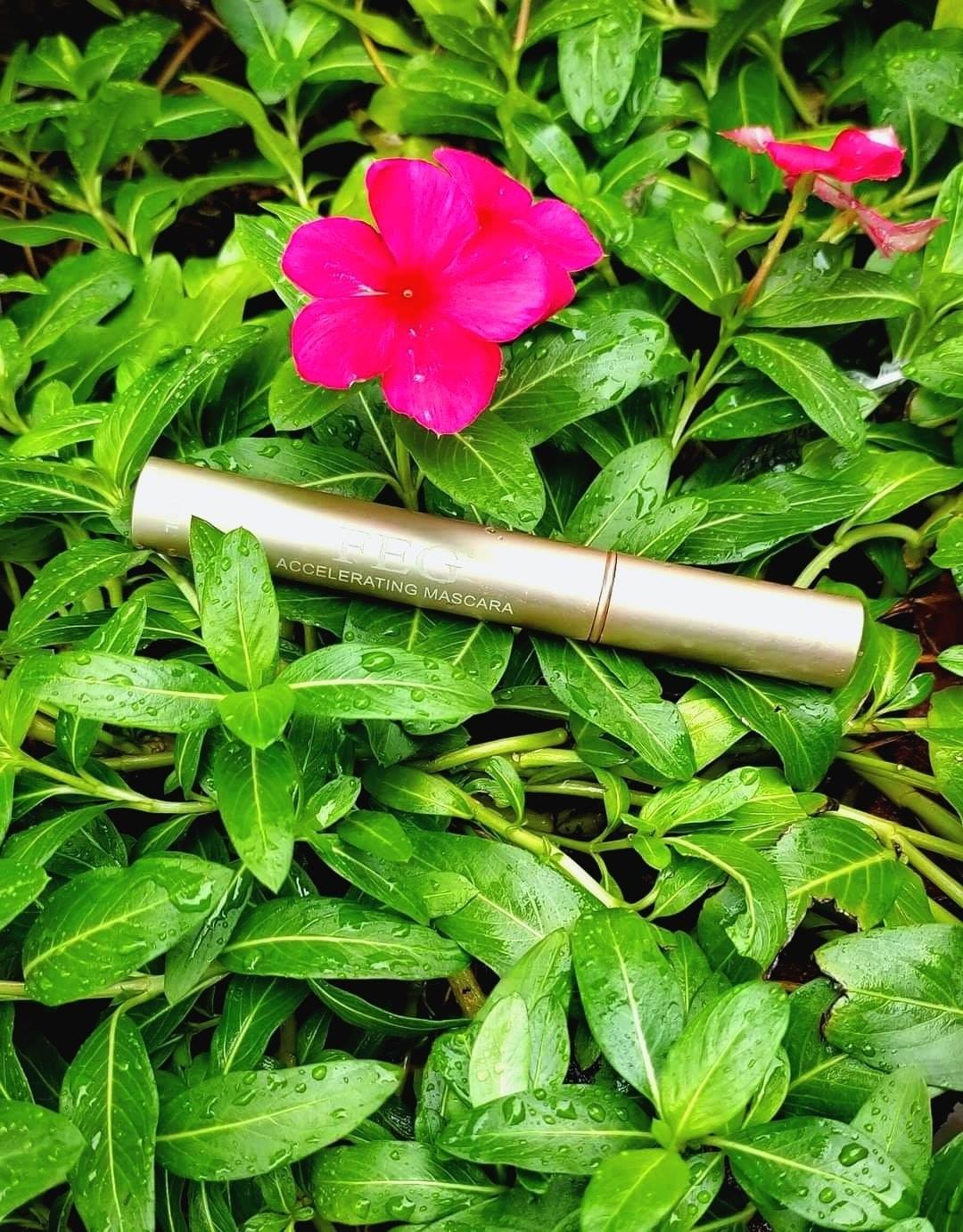 Mascara FEG Dưỡng Mi Dài Khỏe [Hàng Chính Hãng]