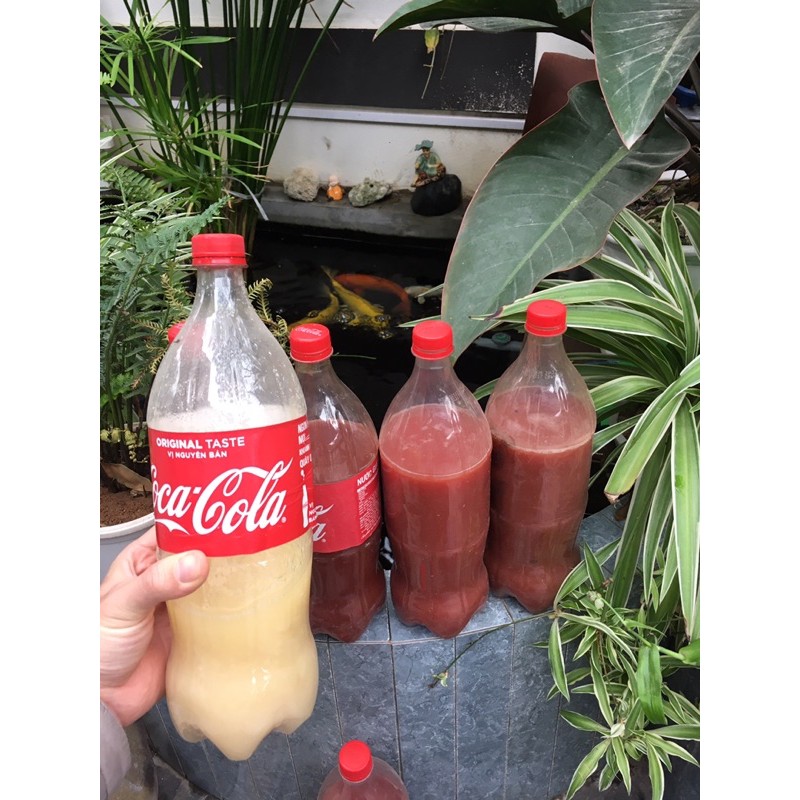 Vi sinh PSB làm trong nước bể cá thủy sinh 350ml