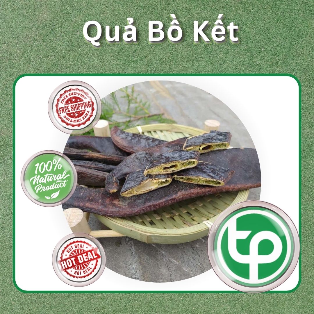 Bồ kết trái sấy khô túi 500gram - Thảo Dược Tấn Phát - Hàng công ty chất lượng cao