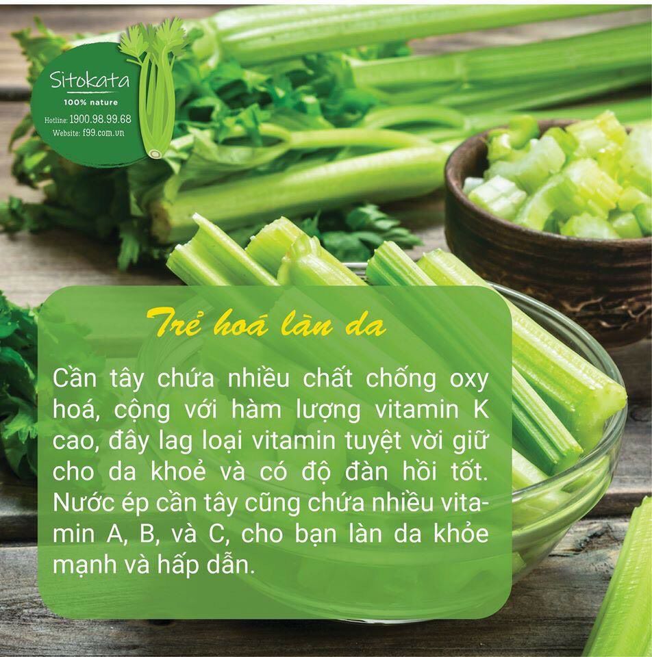 [HCM]COMBO 1 HỘP CẦN TÂY SITOKATA (TẶNG BÌNH NƯỚC VÀ CẨM NANG)