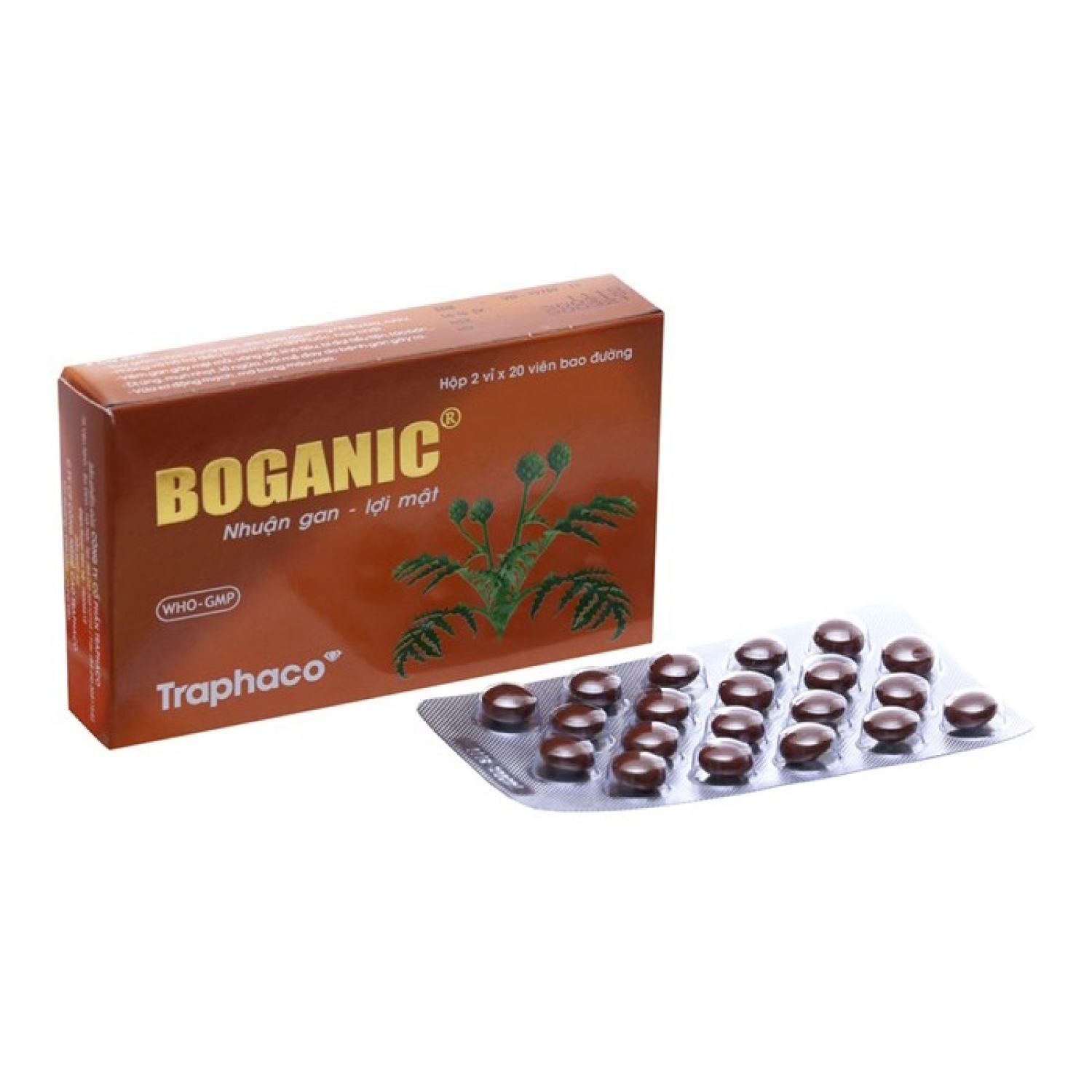 BOGANIC - Giải độc, mát gan, giảm ngứa