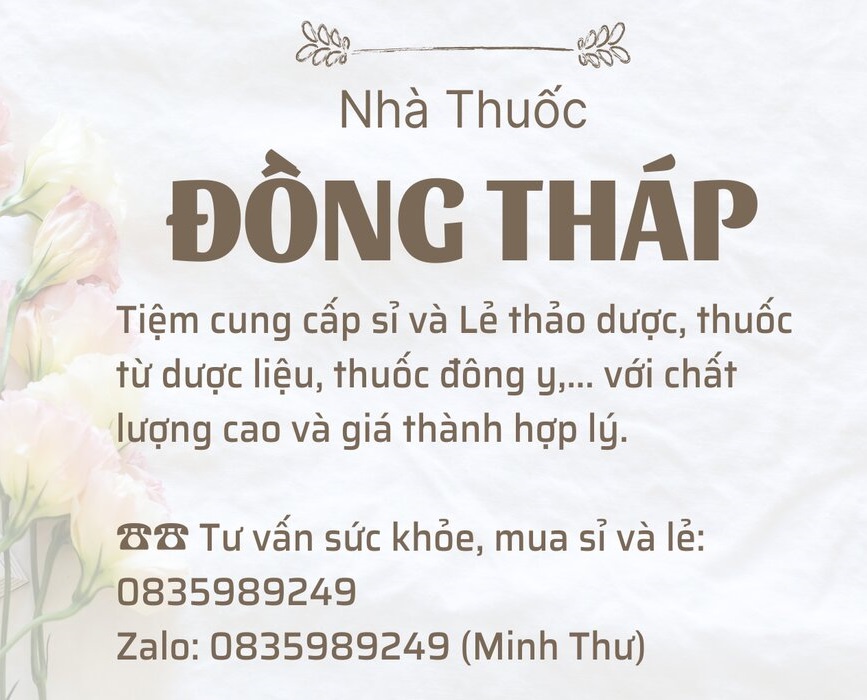 Nhân Sâm Linh Chi Kiện Tỳ Hoàn GINSENG GANODERMA LUCIDUM KIANPI PIL