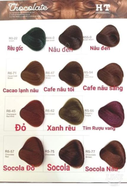 Thuốc Nhuộm phủ bạc cân bằng Chocolate HT Hàn Quốc 100ml