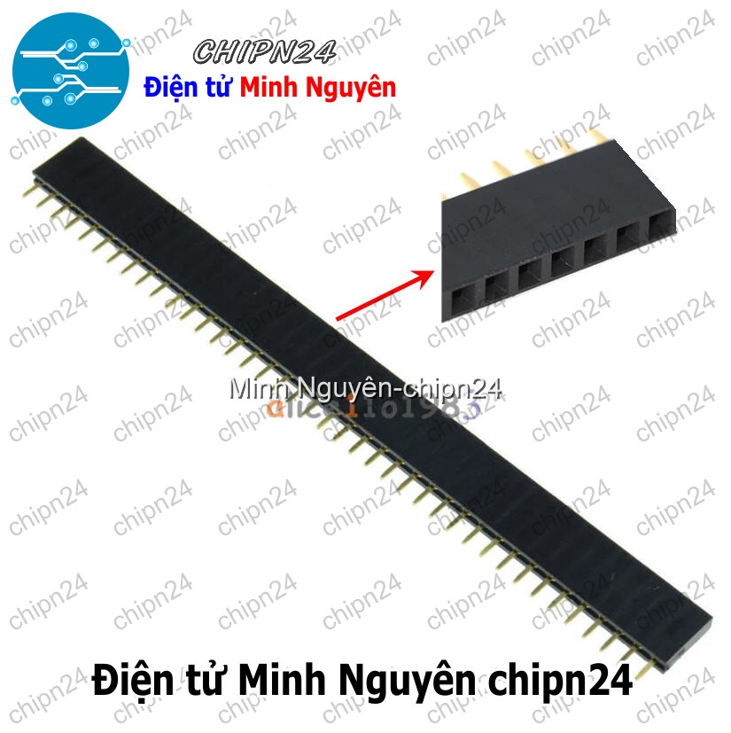 [3 cây] (H64) Hàng rào Cái Đơn Vuông 2.54MM 1x40p (Jump, Header) - HH000520