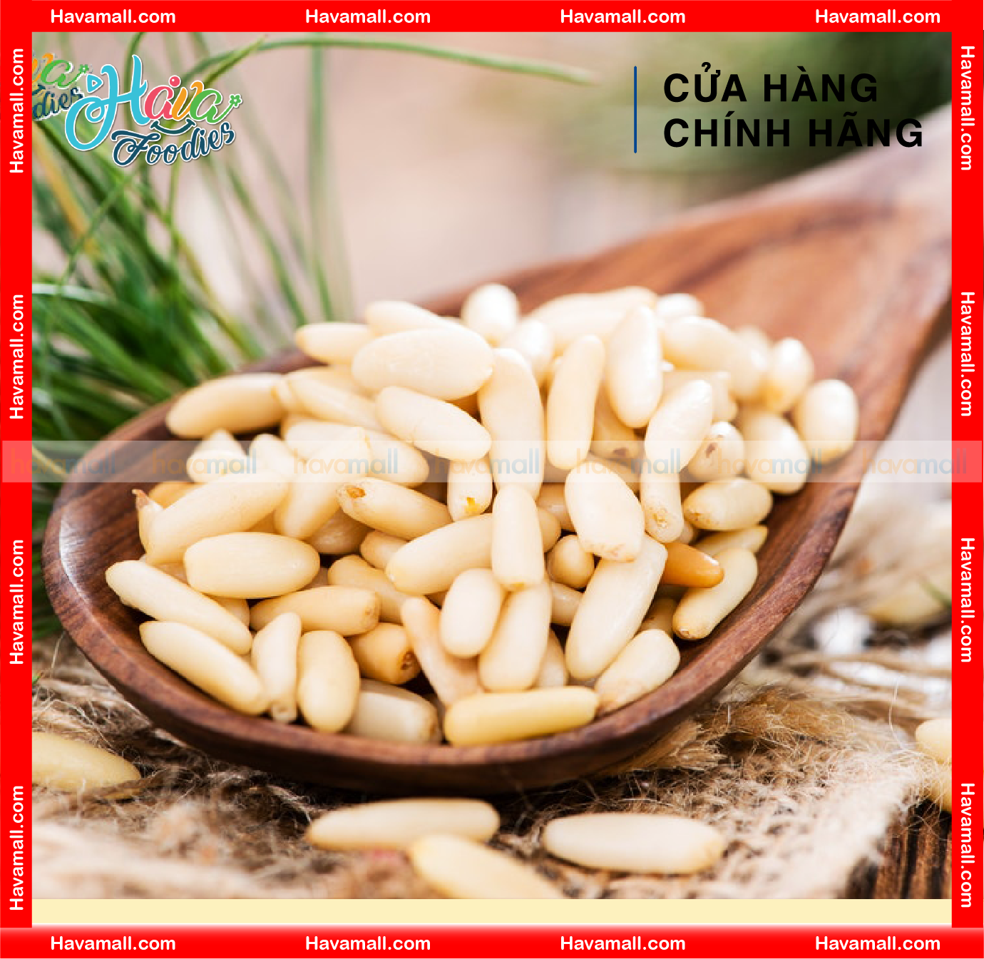 [HOÀN TIỀN MAX 10%]Hạt Thông Tách Vỏ Havafood – Pelled Pine Nuts