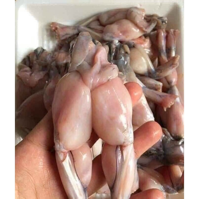 Đùi ếch bịch 500g (giao hỏa tốc tphcm)
