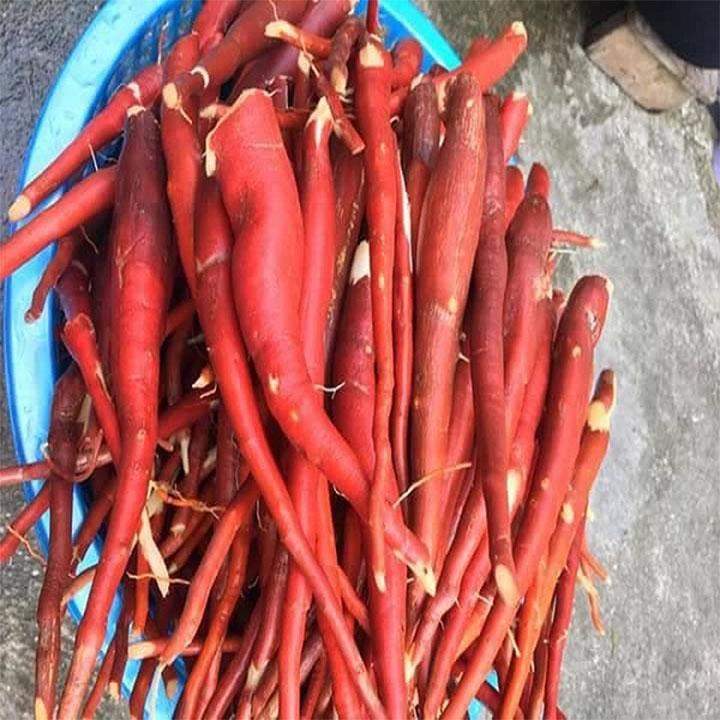sâm cau đỏ tươi 1kg