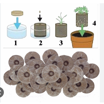 20 viên nén ươm hạt xơ dừa hữu cơ trồng rau dâu tây thủy canh