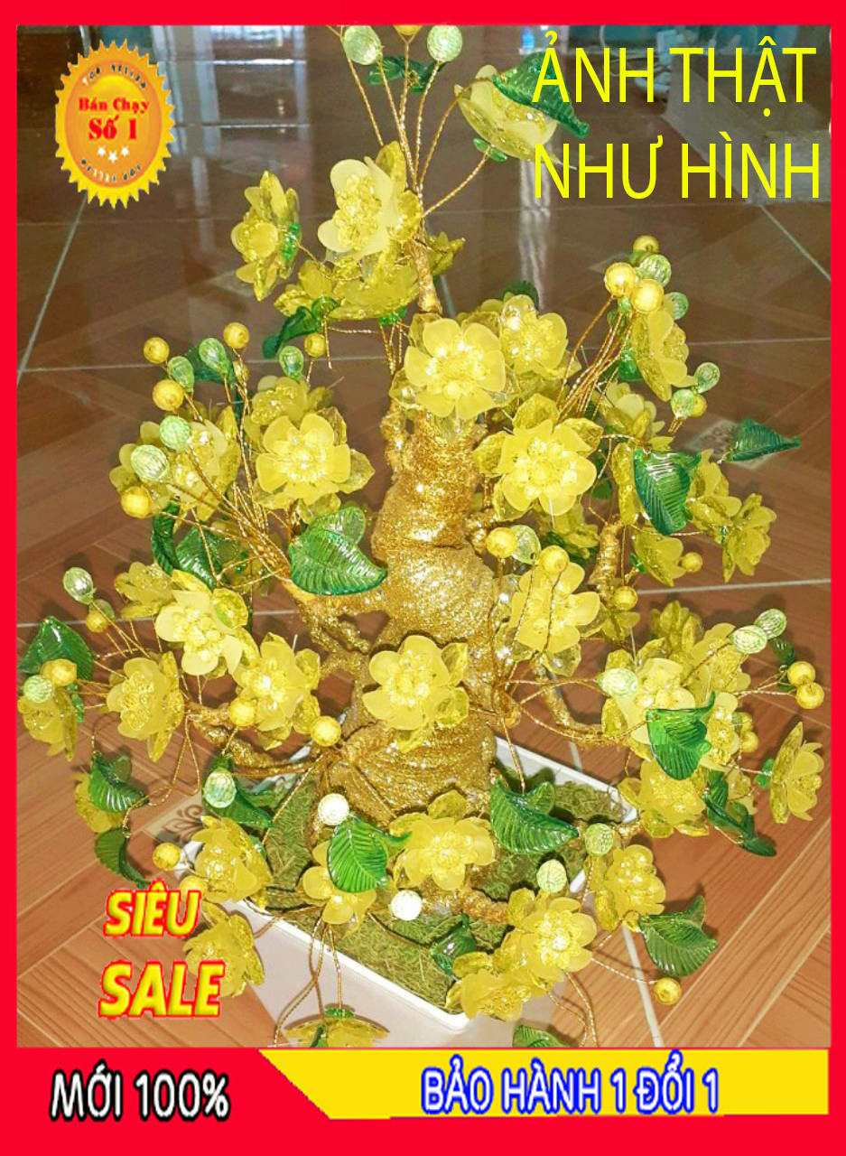 Cây cảnh bonsai - cây mai vàng bonsai ngày tết hàng gia công chất lượng cao