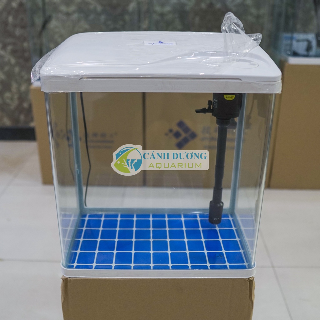 Hồ Cá Mini Để Bàn XS-420 (Combo đầy đủ)