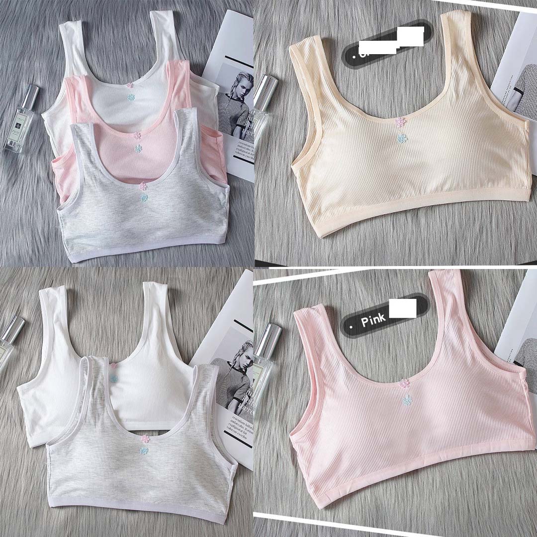 Lẻ 1 áo lót học sinh cấp 2 chất cotton mềm mát có mút mỏng 6020