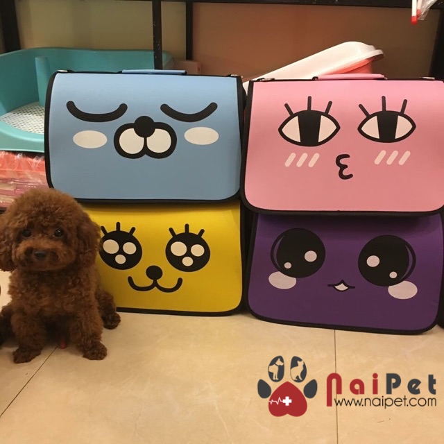 Túi vận chuyển lồng vận chuyển hình cute cho chó mèo lvc002