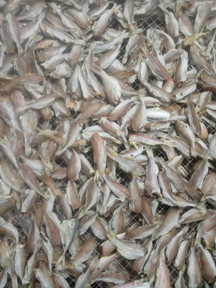 khô cá đù 1 nắng 110.000₫kg.