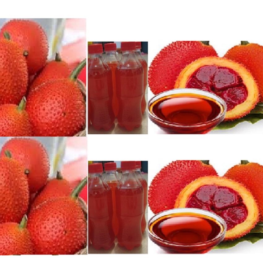 100ml Tinh Dầu Gấc -  Bạch Tuyết