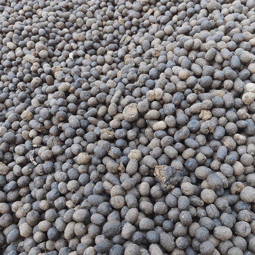 1kg phân dê bón lan đã qua xử lý