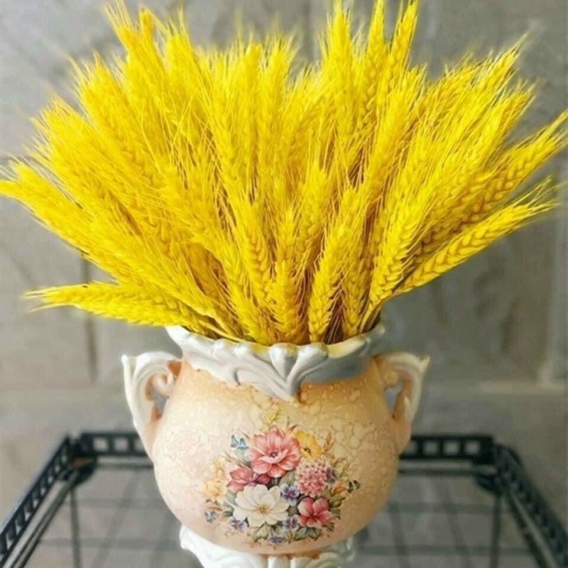 [CÓ QUÀ TẶNG] Bó Hoa Bông Lúa Mạch Khô Decor Trang Trí