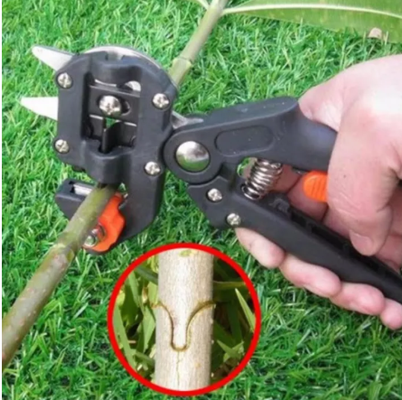 [HCM]Kéo chiết ghép cành cây đa năng