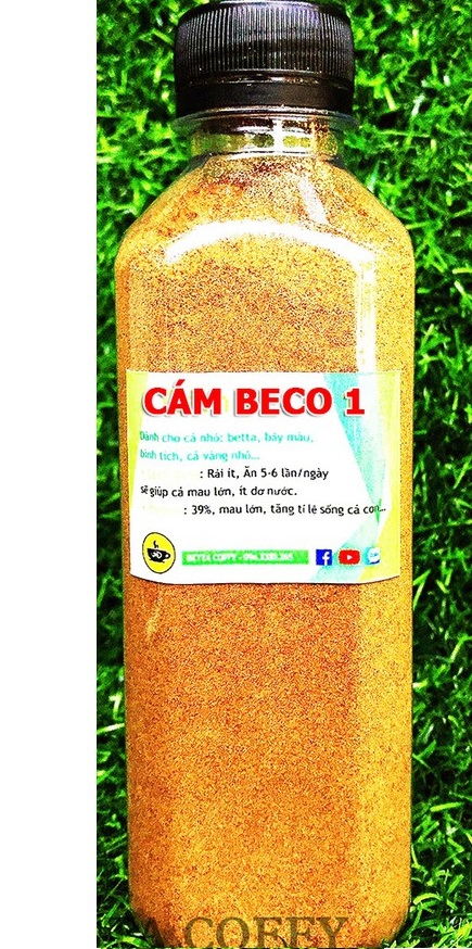 Cám beco cho cá cảnh