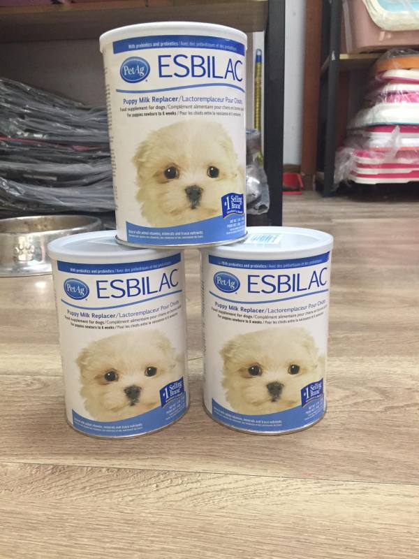 Sữa Bột Thay Thế Sữa Mẹ Esbilac USA cho chó con