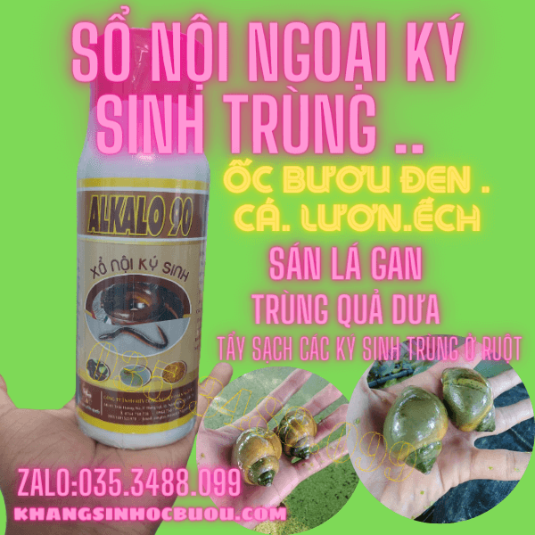 Xổ nội Ngoại Ký Sinh Trùng .Tẩy Sạch Ký Sinh Đường Ruột Ống Mật Túi Mật Ở Lươn Ốc cá Ếch Hiệu Quả Sau 24h Sử Dụng Kí Sinh Ngoài Da Đu Bám Trên Thân Ốc Ếch Lươn