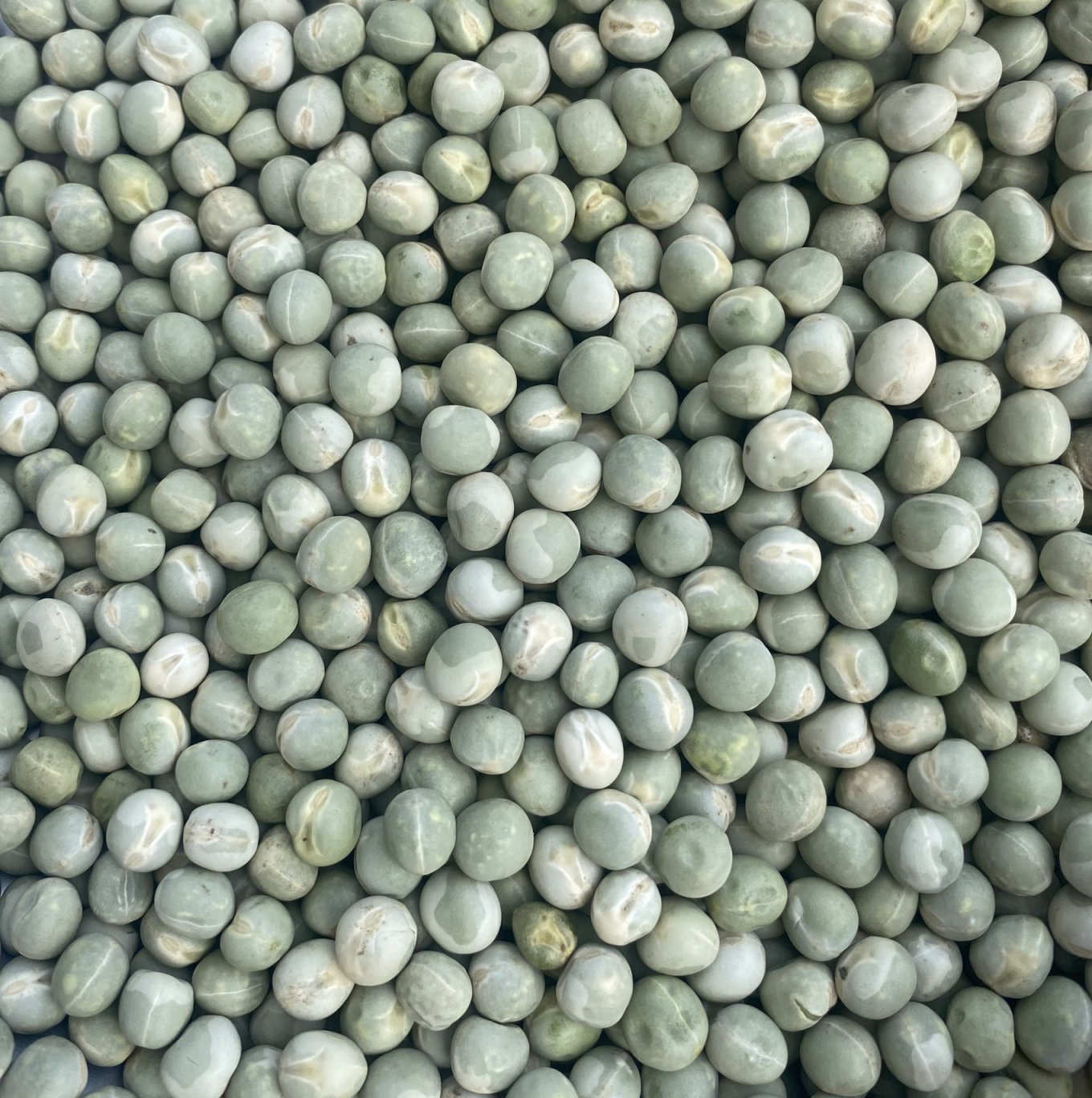 Đậu Hà Lan Nguyên Hạt Hũ 500g .