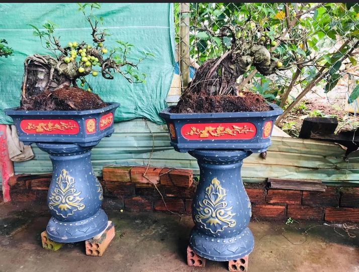 khuôn đúc chậu cảnh chữ nhật 55 (khuôn chậu ABS có lòng trong)