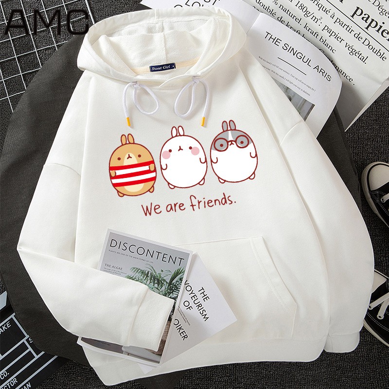 Áo hoodie we are friends hari1120