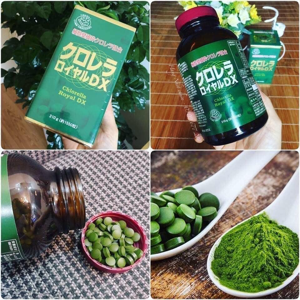 Hộp đựng Tảo Lục Chlorella Royal DX (1550 viên)