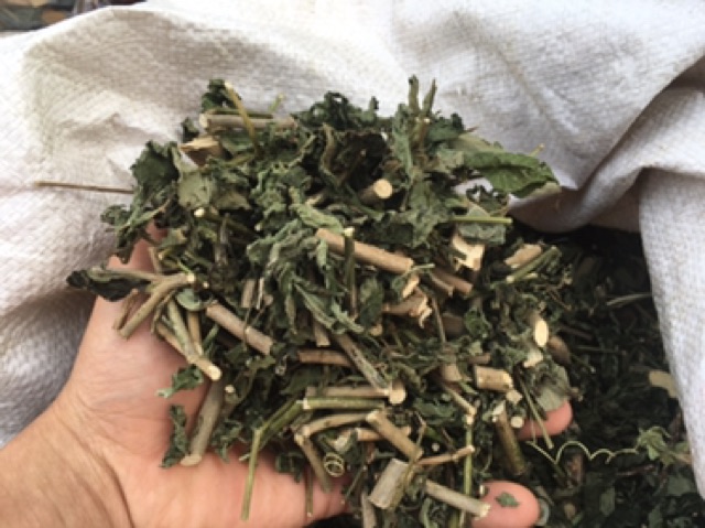 1KG CÂY ĐUÔI CHUỘT HOÀ BÌNH (KHÔ, XANH, SẠCH)