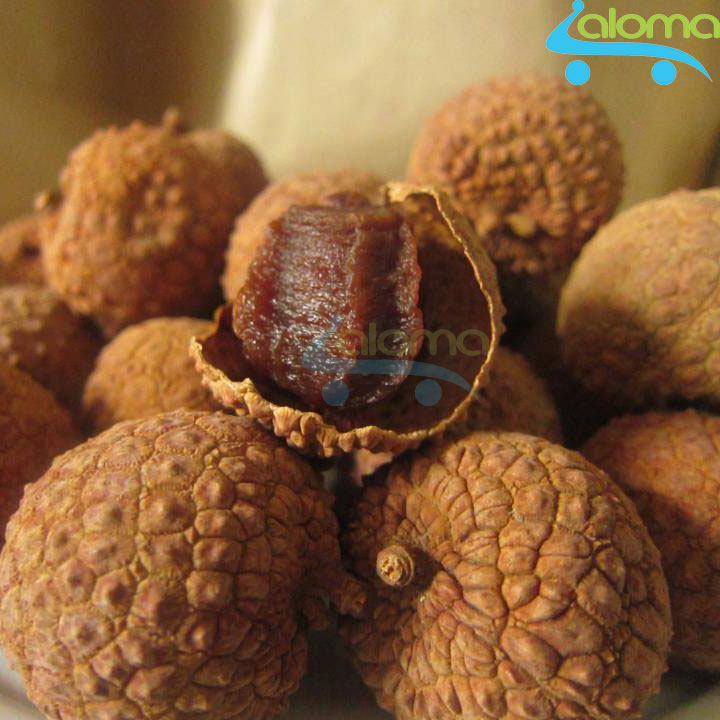 Máy sấy khô hoa quả thịt thực phẩm cao cấp TORSOM TS-D2 sấy hoa quả làm sữa chua