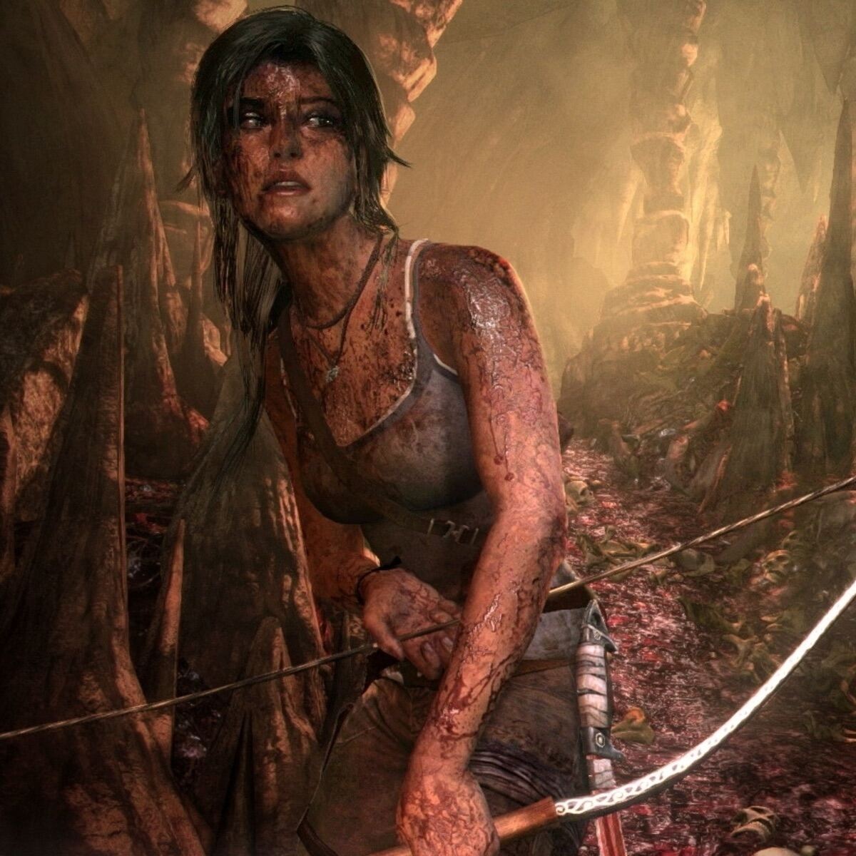 Ps4 Game Disc: Tomb Raider Definitive Edition