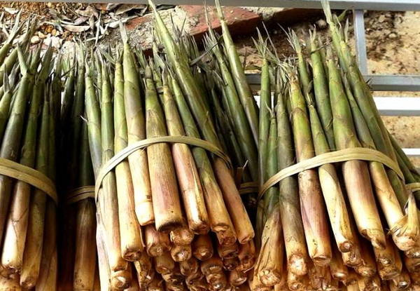Đặc Sản - Măng Rừng Khô Tây Bắc 100g
