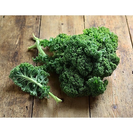 HẠT GIỐNG CẢI XOĂN KALE gói 5gr
