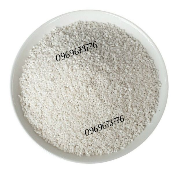Bột báng nấu chè 500G/1KG